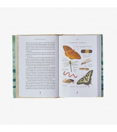 Patagonia Книга 