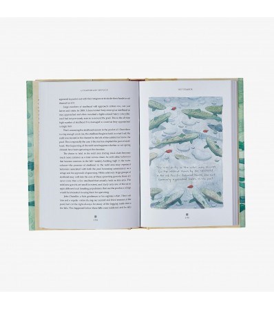 Patagonia Книга 