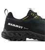 Mammut Alnasca IV Low LTH GTX Men