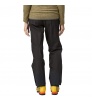 Patagonia Triolet Pants W's