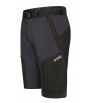 Direct Alpine Fremont Shorts 1.0 M's